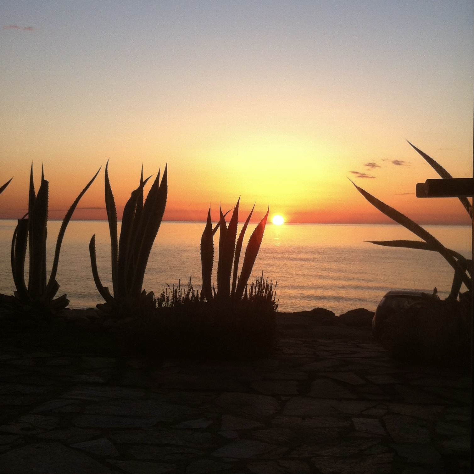 Happy Solstice 💫 Happy World Meditation Day 🧘